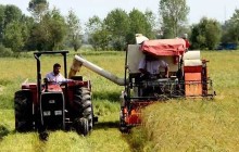 سهم اشتغال بخش کشاورزی آذربایجان غربی تنها ۱۶ درصد است