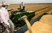 پیش بینی خرید 540 هزار تن گندم در آذربایجان غربی