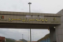 تشییع پیکرهای مطهر ۴ شهید گمنام دفاع مقدس در ارومیه + تصاویر