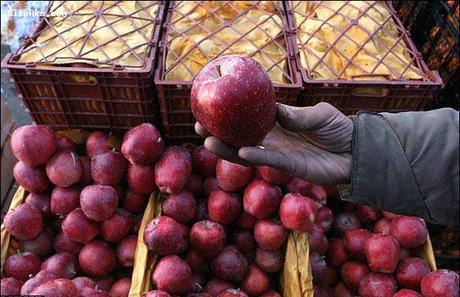 کاهش 50 درصدی صادرات سیب درختی از آذربایجان غربی