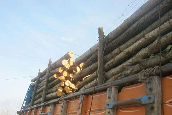 حمل چوب زراعت و ‌باغی در آذربایجان غربی ممنوعیت قانونی ندارد!