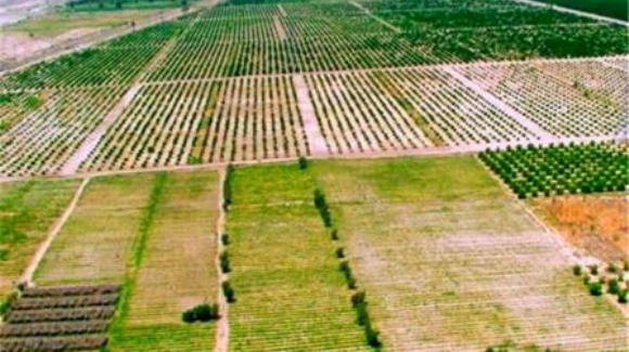 اجرای طرح کاداستر در اراضی کشاورزی آذربایجان غربی