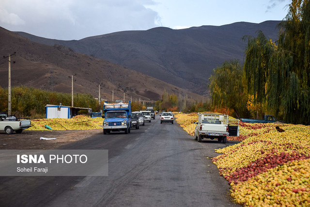 ممنوعیت انباشت سیب و میوه‌های فصلی در کنار جاده‌های آذربایجان غربی