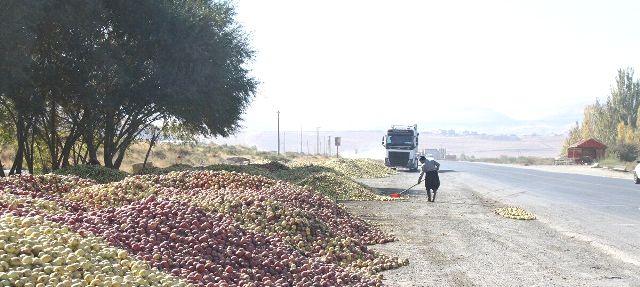 حکایت تلخ سیب کنار جاده‌ای در آذربایجان‌غربی
