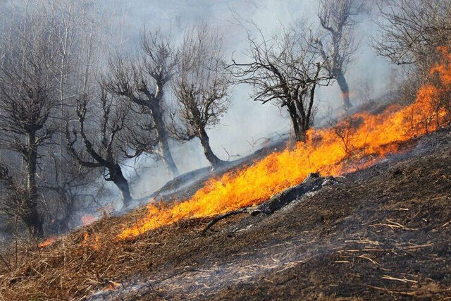 طی سال گذشته؛ ۲۶۵هکتار از مراتع و جنگل های آذربایجان غربی در آتش سوخت