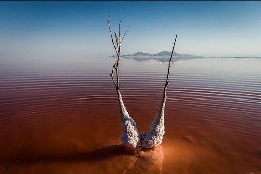 دریاچه ارومیه همچنان آب می رود!