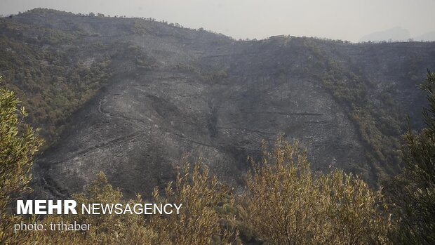 مهار آتش سوزی در ارتفاعات مرزی تمرچین پیرانشهر