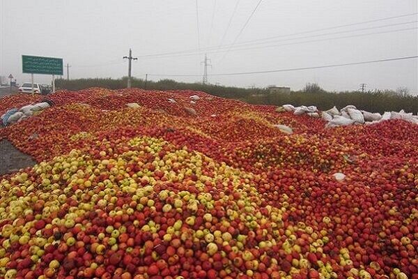 سرنوشت امسال سیب‌های آذربایجان غربی چه می شود؟