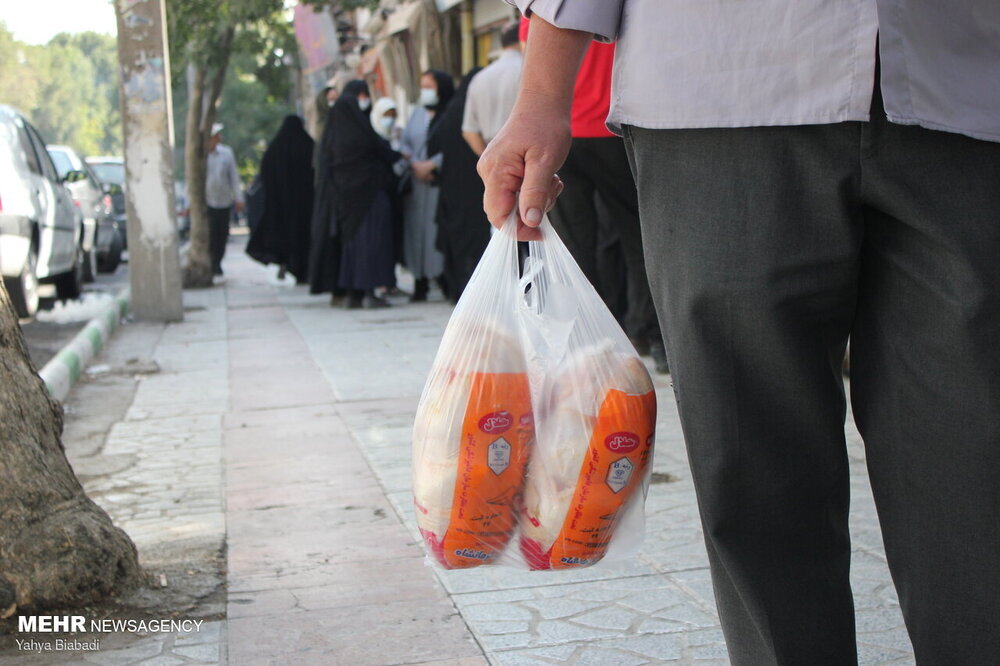 آشفتگی و صف های بازار مرغ در آذربایجان غربی