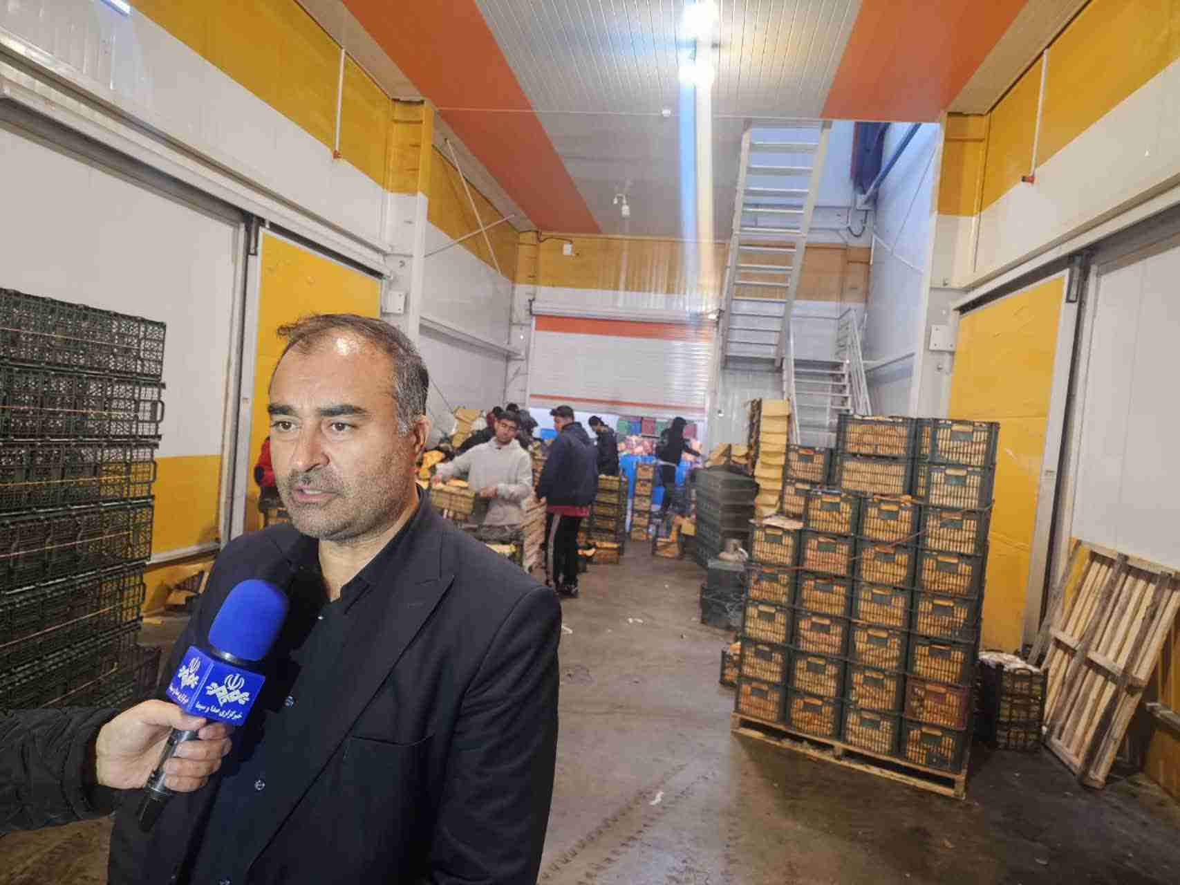 ذخیره ۱۵۰ تن سیب و ۲۷۵ تن پرتقال در آذربایجان‌غربی برای تامین بازار ایام پایانی سال